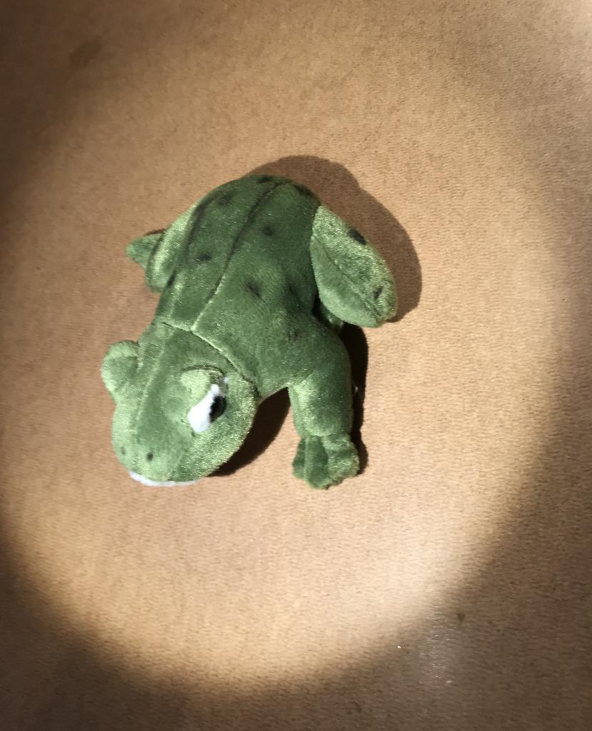 kikker, knuffel, Kikker, Groen, Met geluid, Ophalen of Verzenden