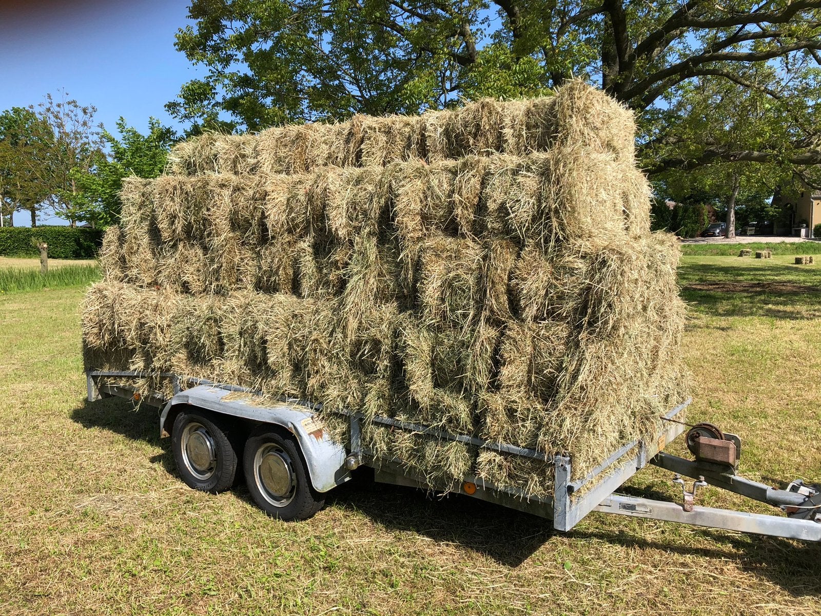 Hooi goed paardenhooi, Dieren en Toebehoren, Dierenvoeding, Ophalen, Vee