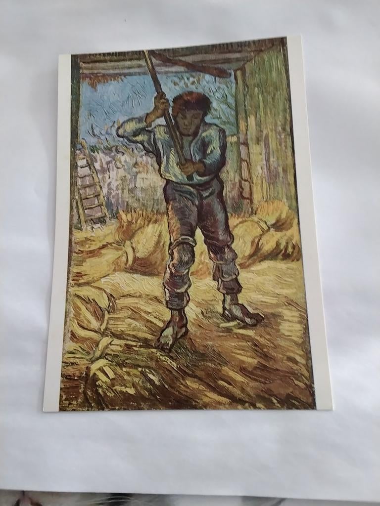 VINCENT VAN GOGH  1853-1890. DE DORSER, Ophalen of Verzenden