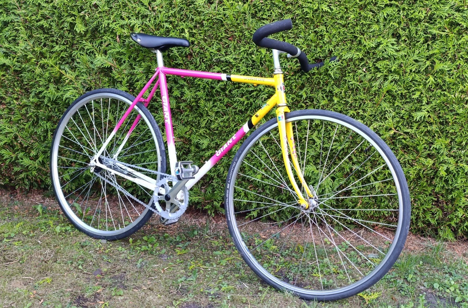 Giant Speeder Lite 54cm Single speed, Ophalen, Staal, Giant, Zo goed als nieuw