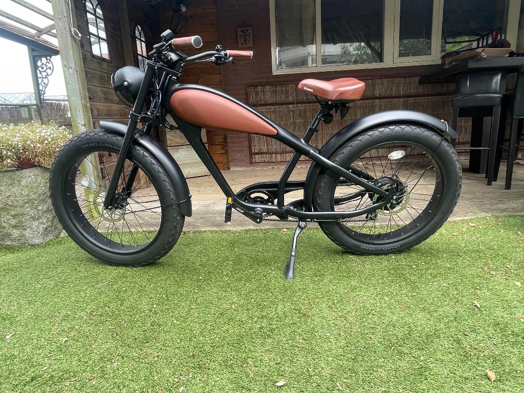 Vintage E-cruiser e-bike, Fietsen en Brommers, Elektrische fietsen, Ophalen, Zo goed als nieuw, 50 km per accu of meer, Overige merken