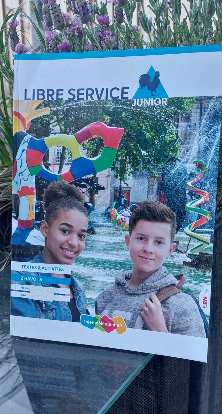 Livre Service Junior 2 HAVO/VWO Frans lesboek, Boeken, Studieboeken en Cursussen, Zo goed als nieuw, HBO, Alpha, Ophalen of Verzenden