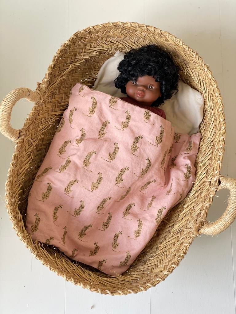 Rotan mozes mand voor pop, Ophalen, Zo goed als nieuw, Babypop