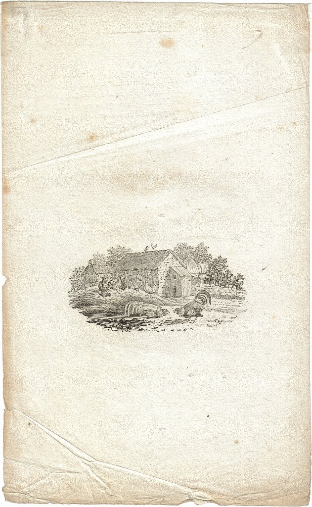 Bewick houtgravure "Boerderijtafereel Haan & Kippen" proefdr, Antiek en Kunst, Ophalen, Dagelijks leven, 1800 - 1899, Origineel