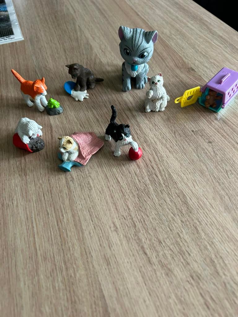 Schattige kleine poesjes, Ophalen of Verzenden, Zo goed als nieuw, Dier
