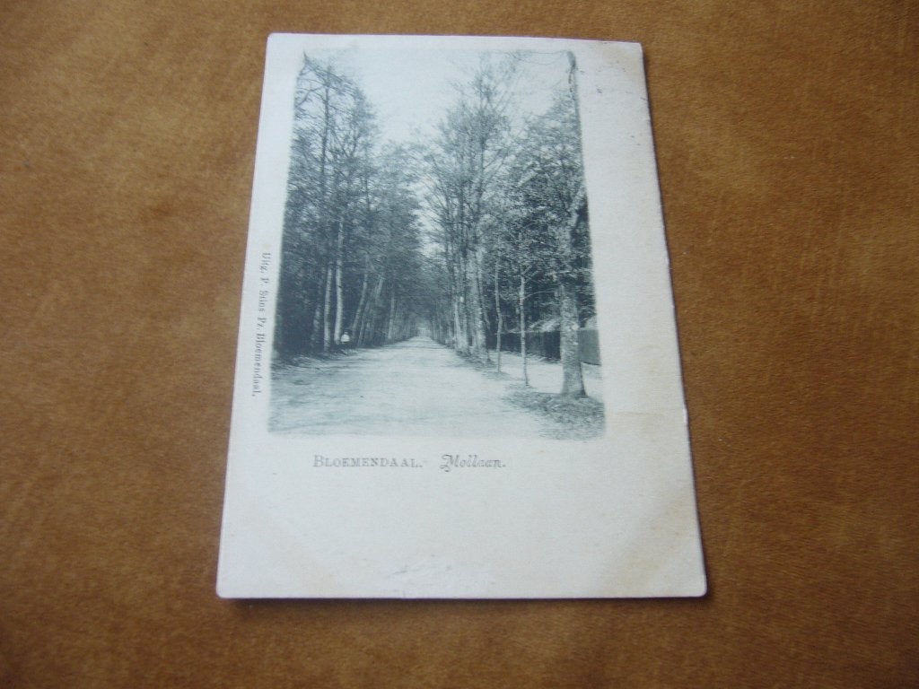 BLOEMENDAAL  =  MOLLAAN  BRIEFKAART 1901, Ophalen of Verzenden, Voor 1920, Gelopen, Noord-Holland