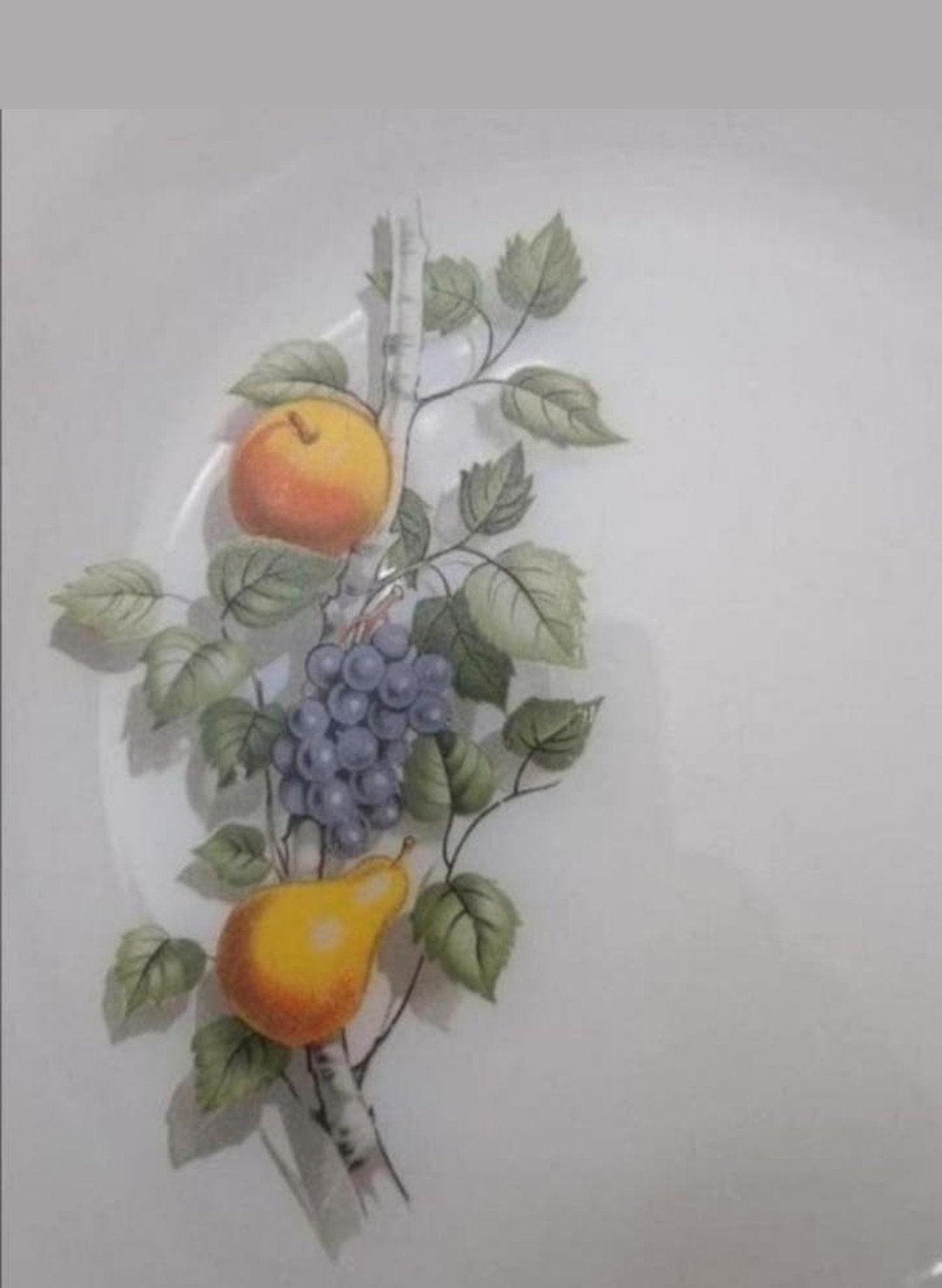 Vintage Arcopal diep bord 'Fruits de France', Ophalen