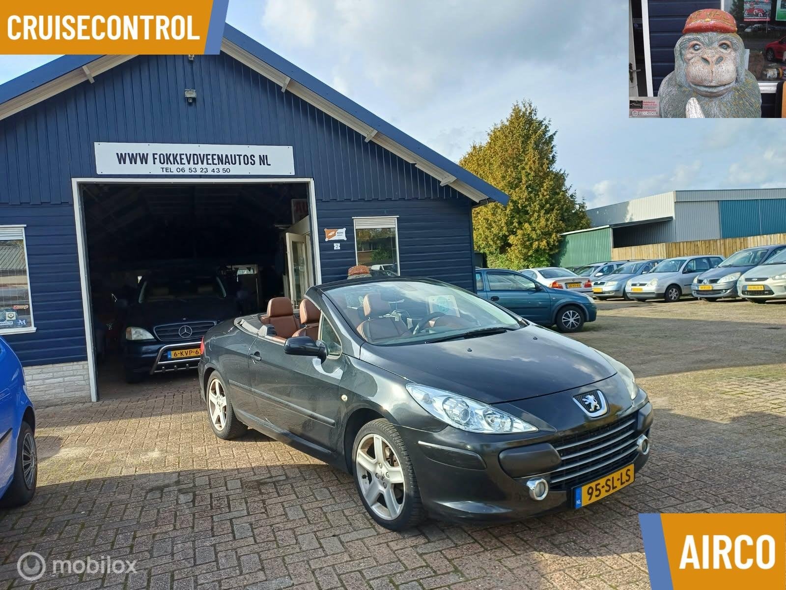 Peugeot 307 CC 2.0-16V, Voorwielaandrijving, Gebruikt, 4 cilinders, Cabriolet