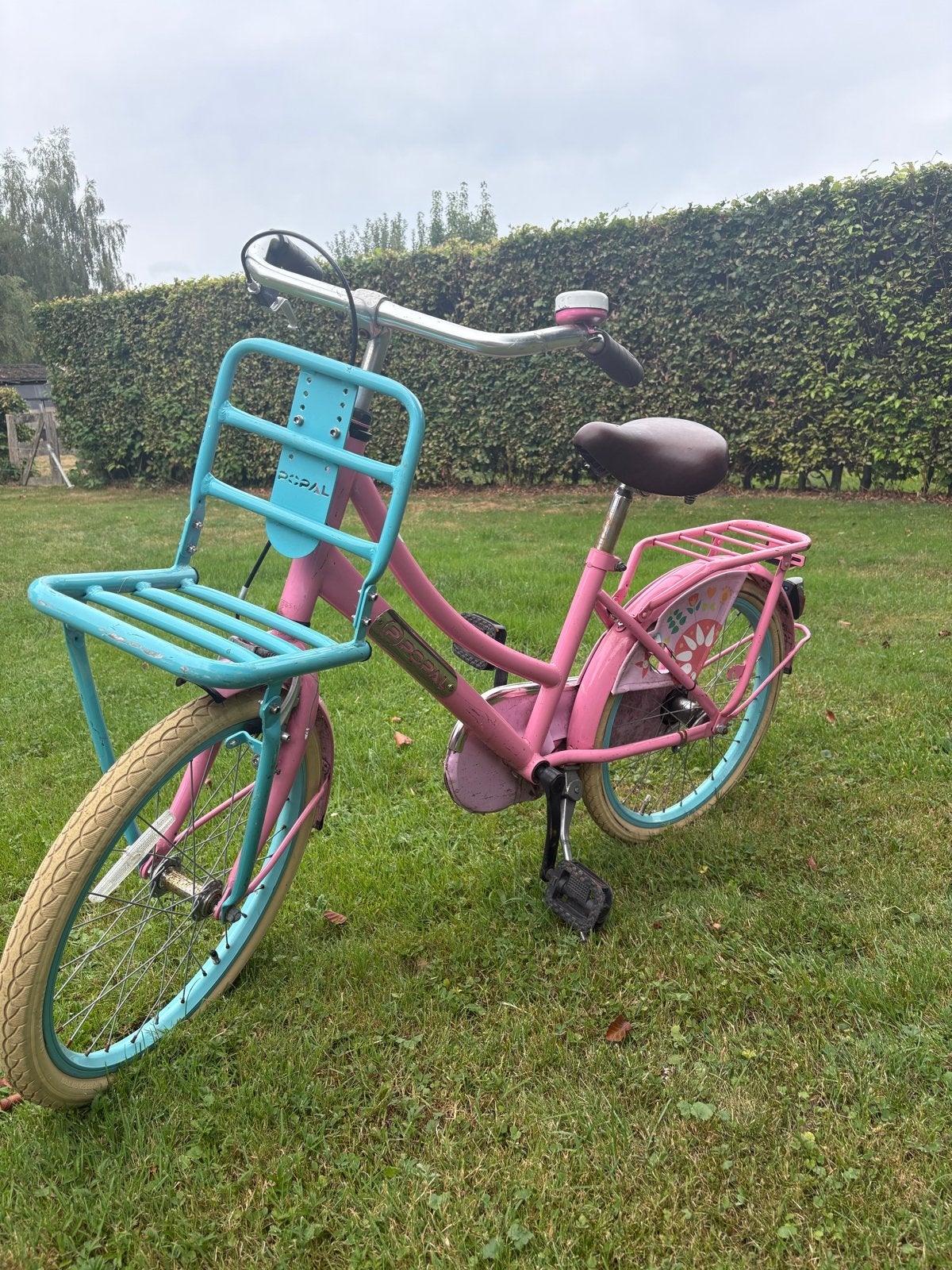Leuke roze fiets 20 inch met voordrager, Ophalen, Gebruikt, Terugtraprem, 20 inch