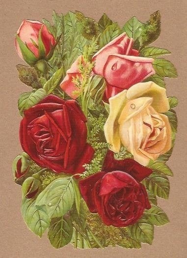 Prachtig Rozenboeket poezieplaatjes 5163, Ophalen of Verzenden