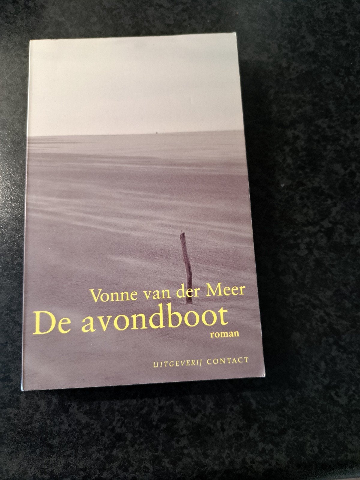 De avondboot - Vonne van der Meer (roman), Boeken, Ophalen, Zo goed als nieuw, Vonne van der Meer, Nederland