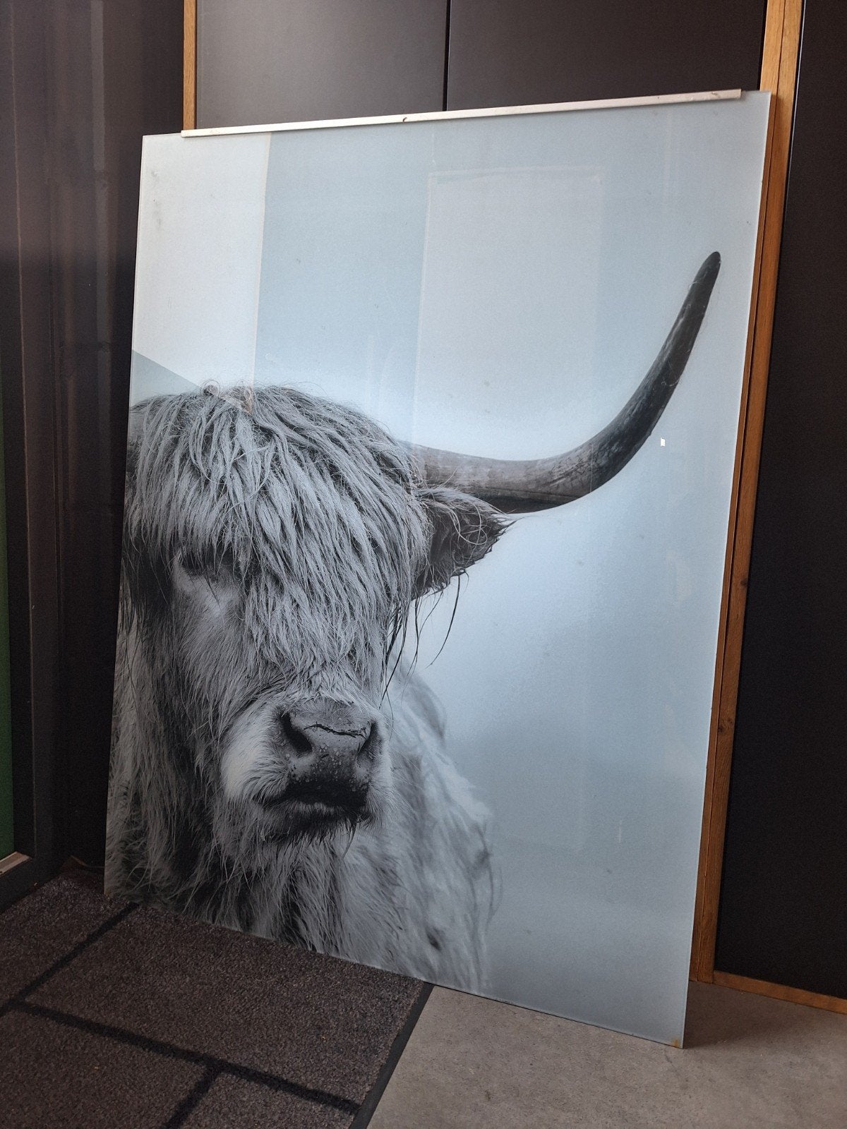 Schotse Hooglander in zwart-wit, gedrukt op plexiglas., Ophalen, Zo goed als nieuw, 100 tot 125 cm, Foto of Poster