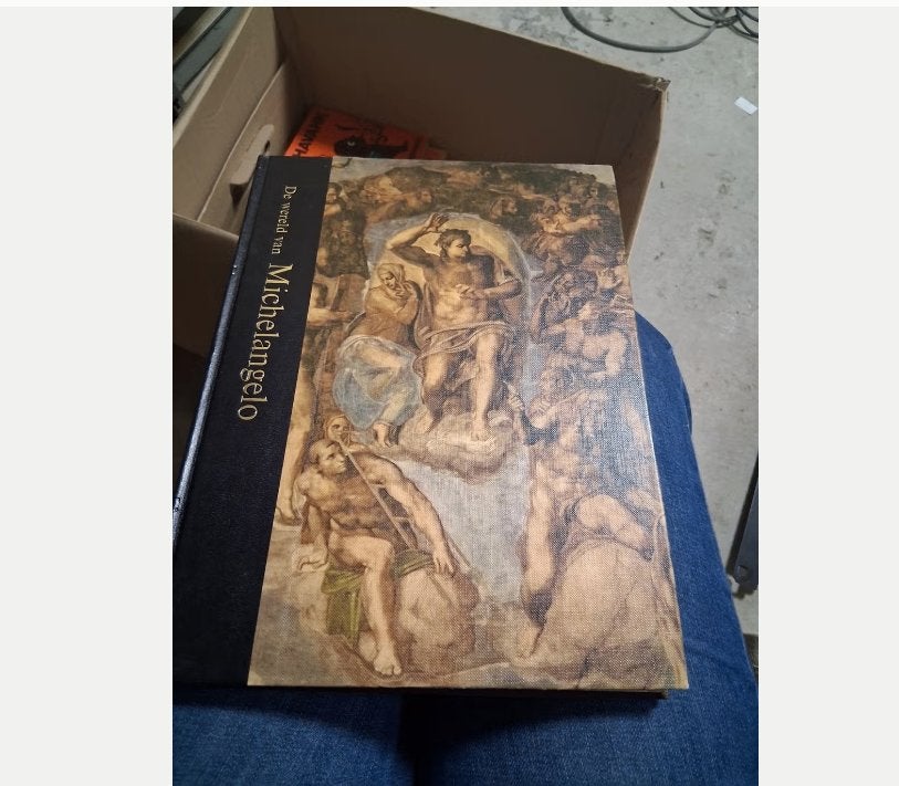 De wereld van Michelangelo 1475-1564, Gelezen, Robert Coughlan, Ophalen of Verzenden, Schilder- en Tekenkunst