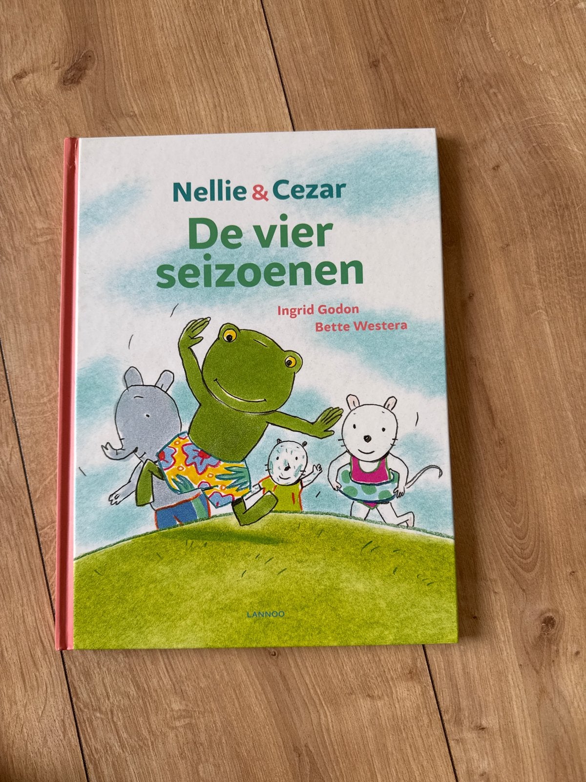 Nellie & Cezar - De vier seizoenen (Hardcover), Boeken, Fictie algemeen, Jongen of Meisje, Ophalen of Verzenden, Zo goed als nieuw