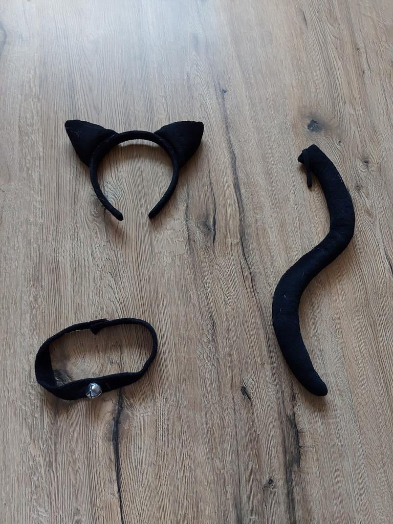 Verkleed-Kattenaccessoireset, Ophalen of Verzenden, Zo goed als nieuw, Carnaval