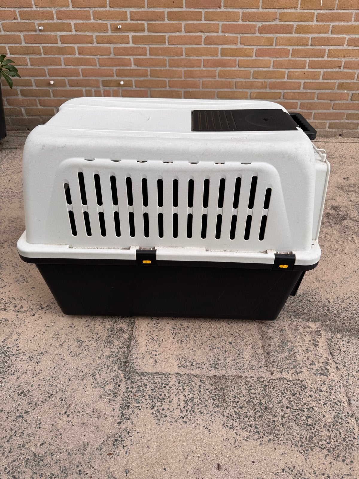 Vervoersbench voor middelgrote hond., Ophalen, Gebruikt