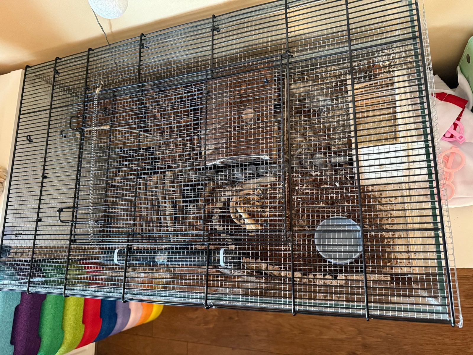 Hamsterhok hamster scaping, Ophalen, Gebruikt, Overige typen