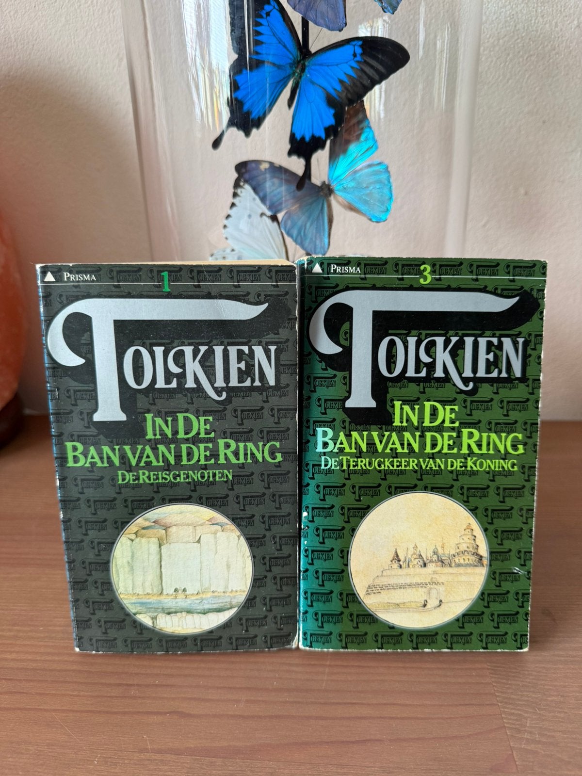 Tolkien In De Ban Van De Ring, Boeken, Ophalen of Verzenden