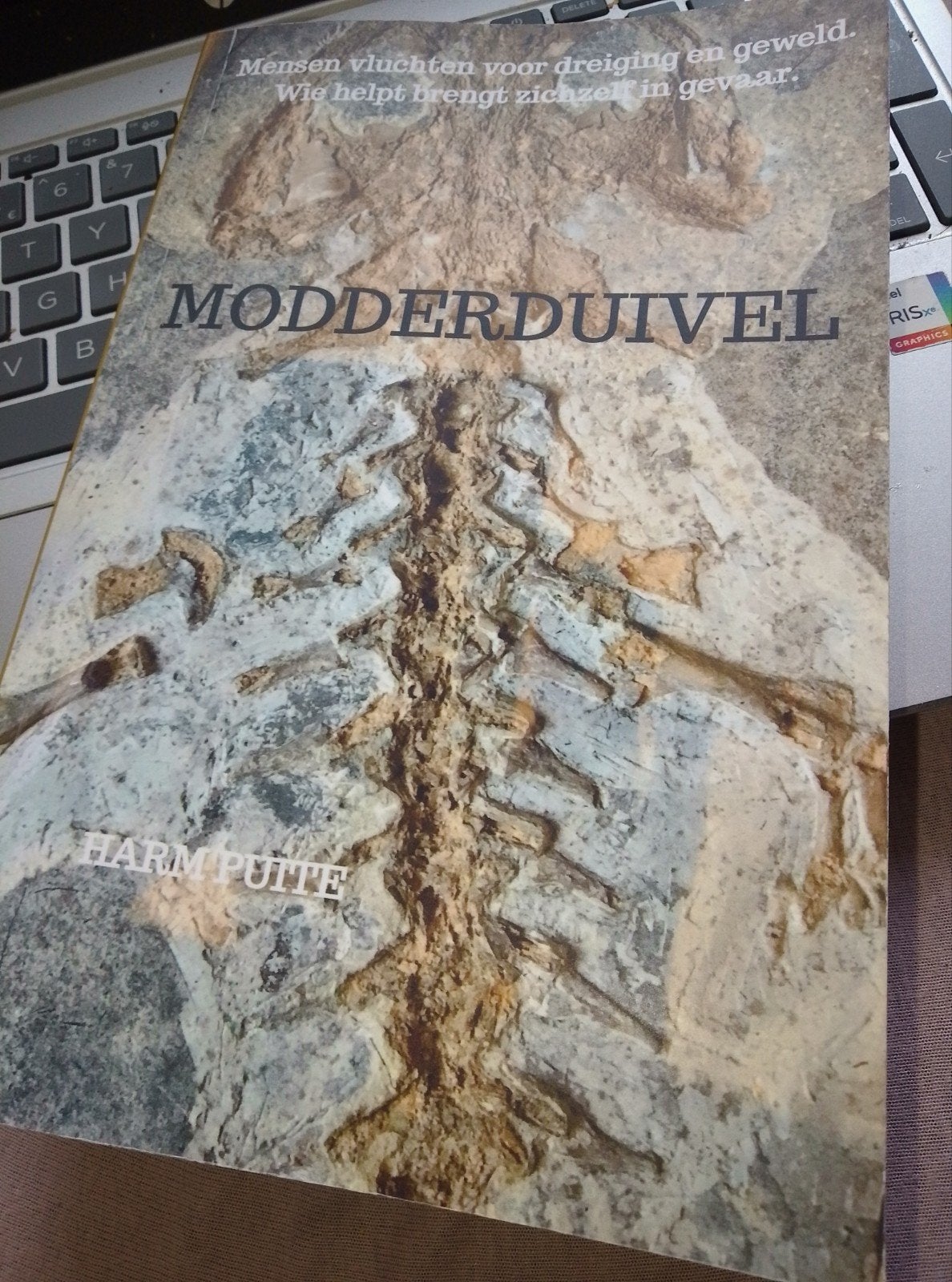Modderduivel - Harm Puitte (roman), Boeken, Romans, Zo goed als nieuw, Nederland, Ophalen of Verzenden