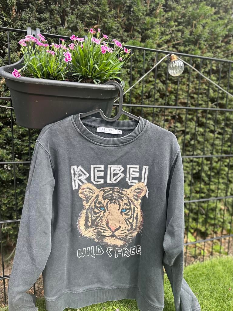 Trui XS Rebel, Ophalen of Verzenden, Zo goed als nieuw, Maat 34 (XS) of kleiner, Grijs