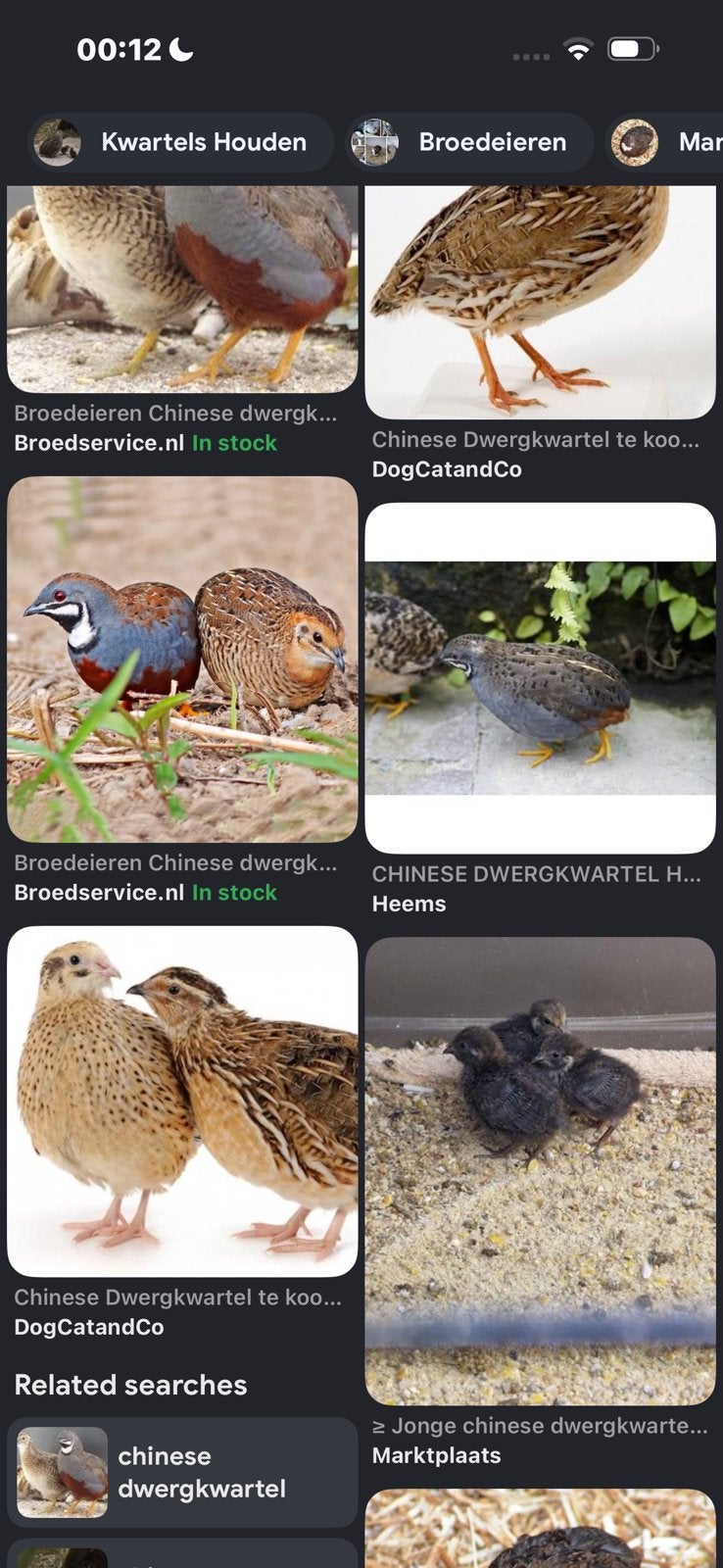 Ik ben opzoek gezocht, Meerdere dieren