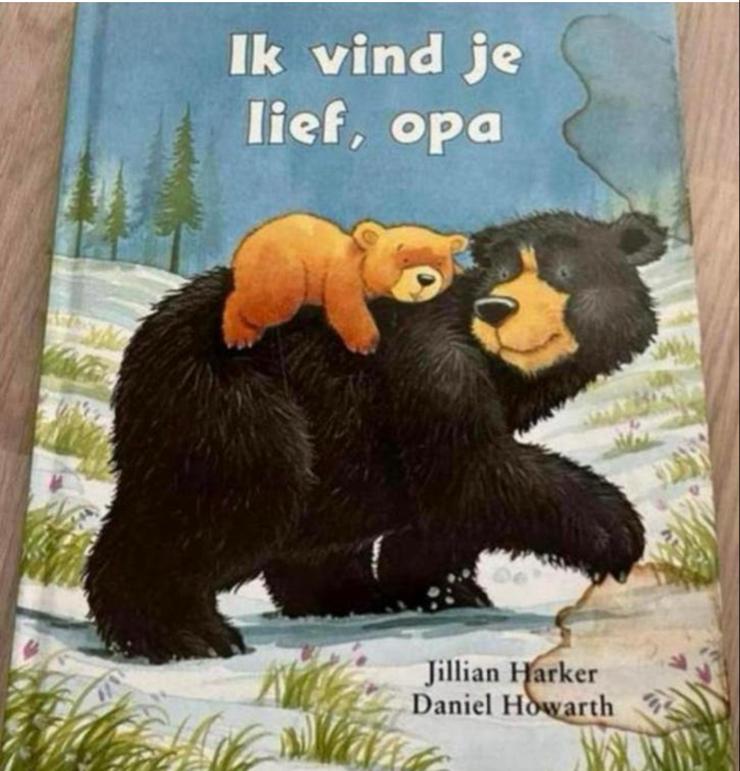 Ik vind je lief, opa - Prentenboek over Opa Beer, Ophalen of Verzenden, Gelezen