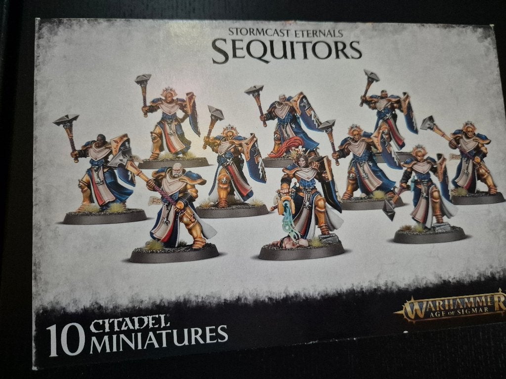Stormcast Eternals Sequitors, Hobby en Vrije tijd, Wargaming, Ophalen of Verzenden, Zo goed als nieuw, Warhammer, Figuurtje(s)