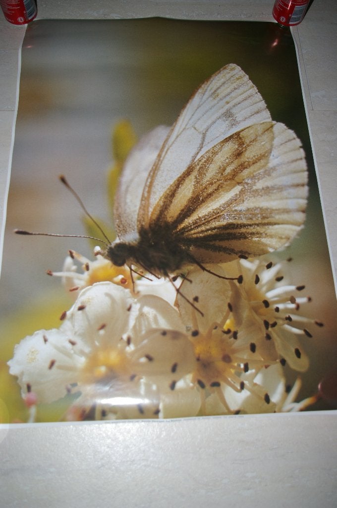 Noorder dierenpark posters en Logboek Nieuw., Ophalen of Verzenden, Nieuw, A1 t/m A3, Dier of Natuur
