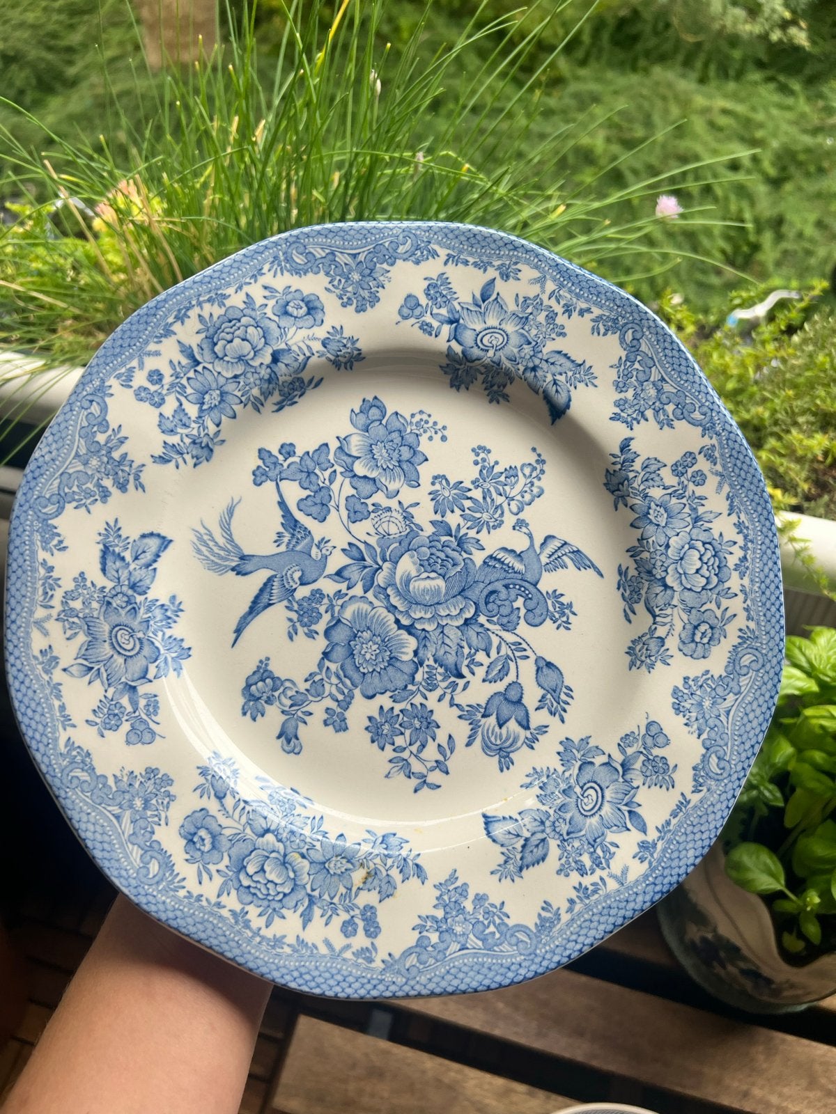 4 Unicorn Tableware borden (Asiatic Pheasants), Ophalen of Verzenden