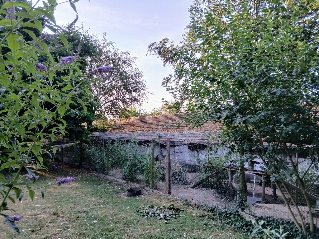 Mulden dakpannen, Doe-het-zelf en Verbouw, Dakpannen en Dakbedekking, Gebruikt, Steen of Klei, Ophalen of Verzenden, 15 m² of meer