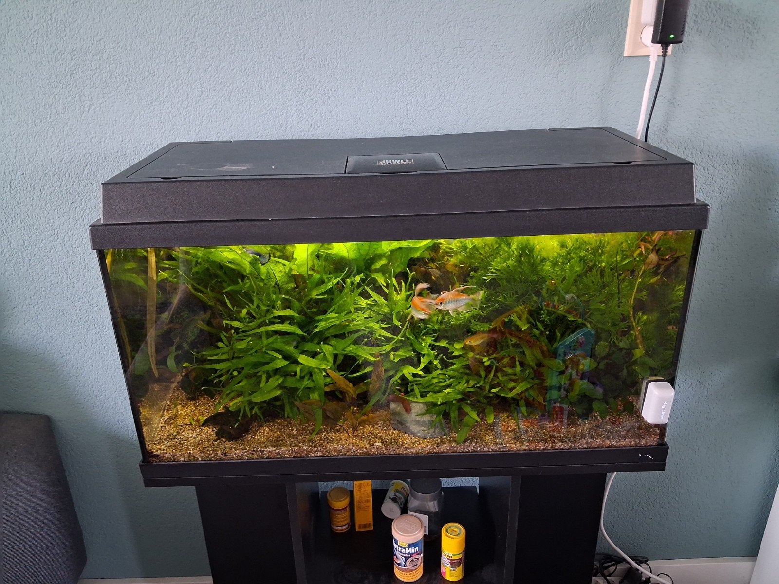Te koop juwel aquarium, Ophalen, Inclusief planten, Juwel, Gevuld zoetwateraquarium