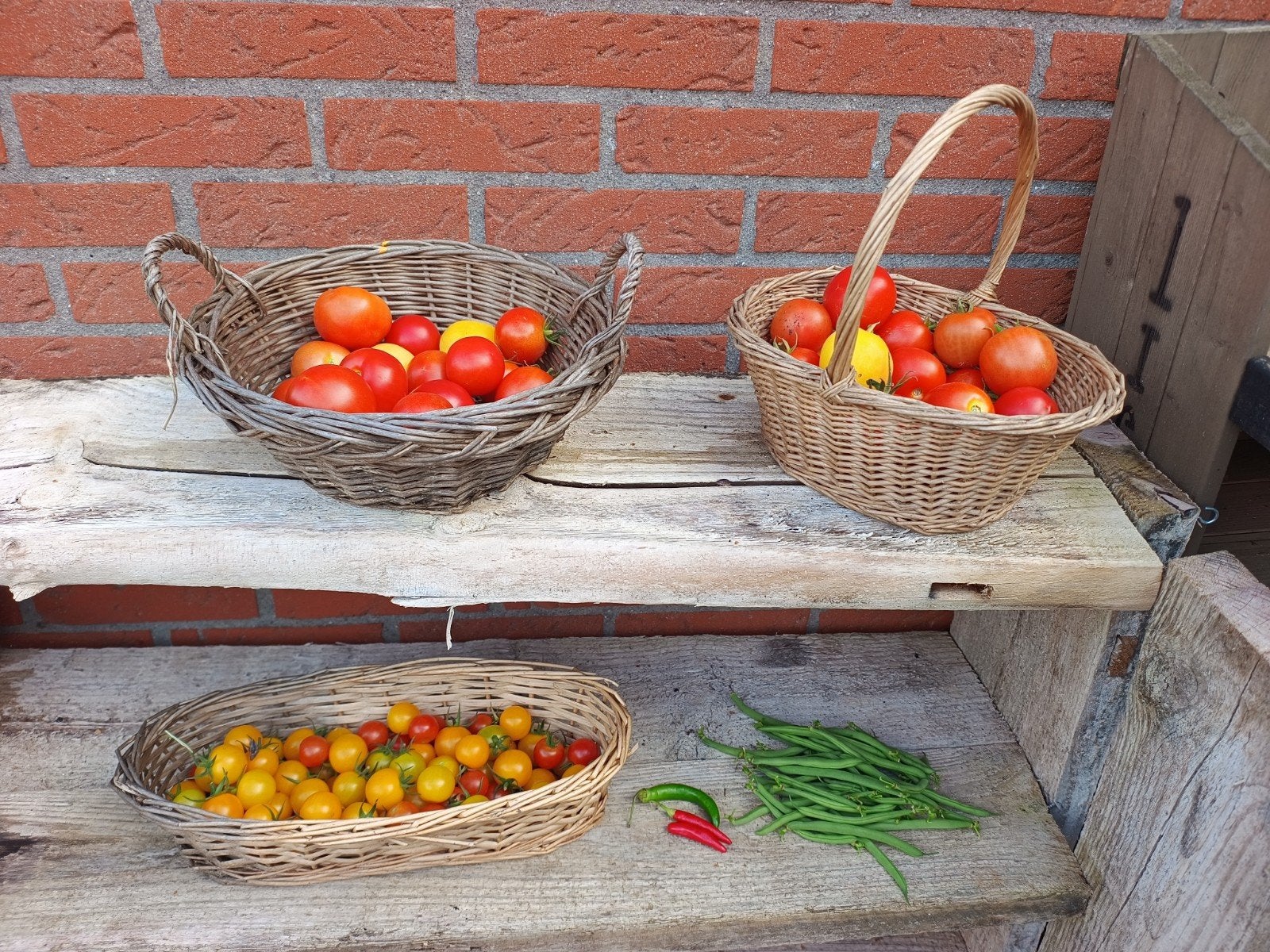 Tomaten per kilo, Ophalen