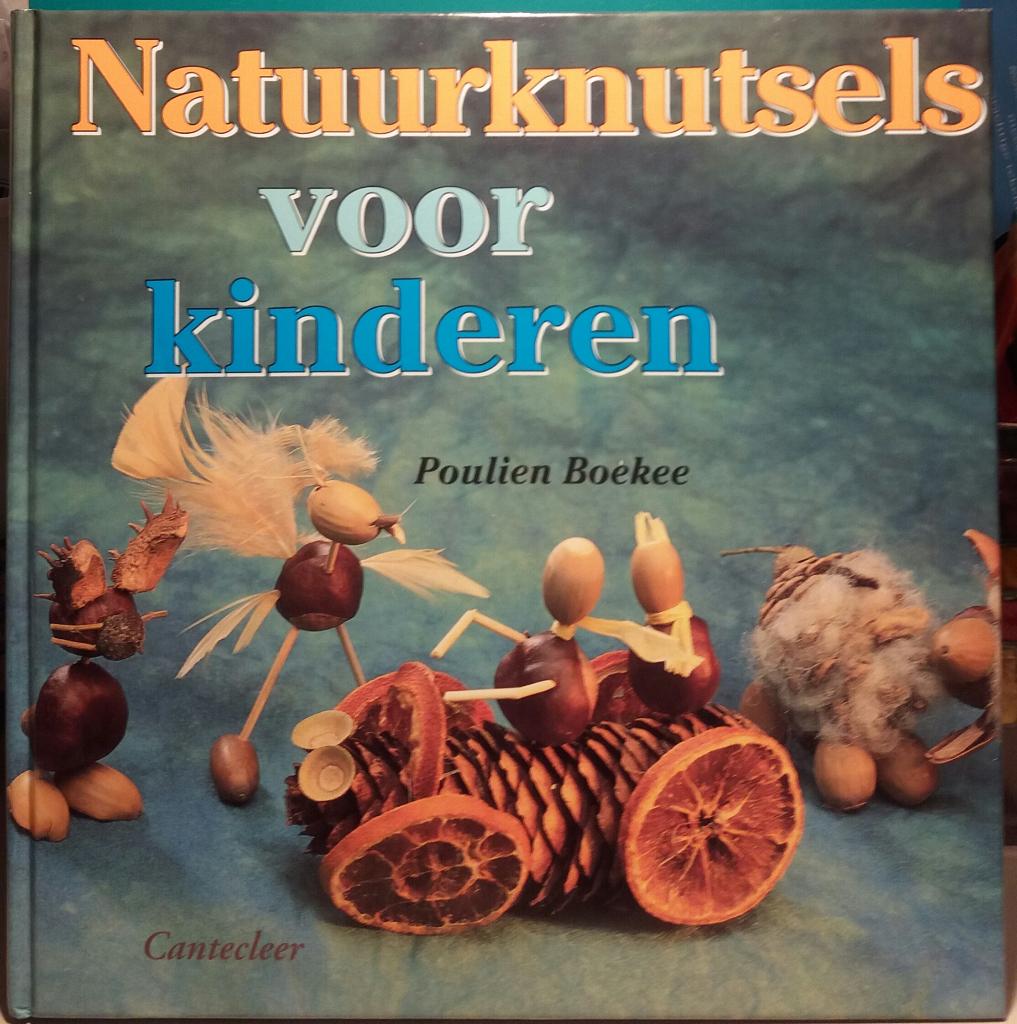 Natuurknutsels voor kinderen met 79 blz plezier Nieuw, Ophalen of Verzenden, Nieuw, Overige onderwerpen