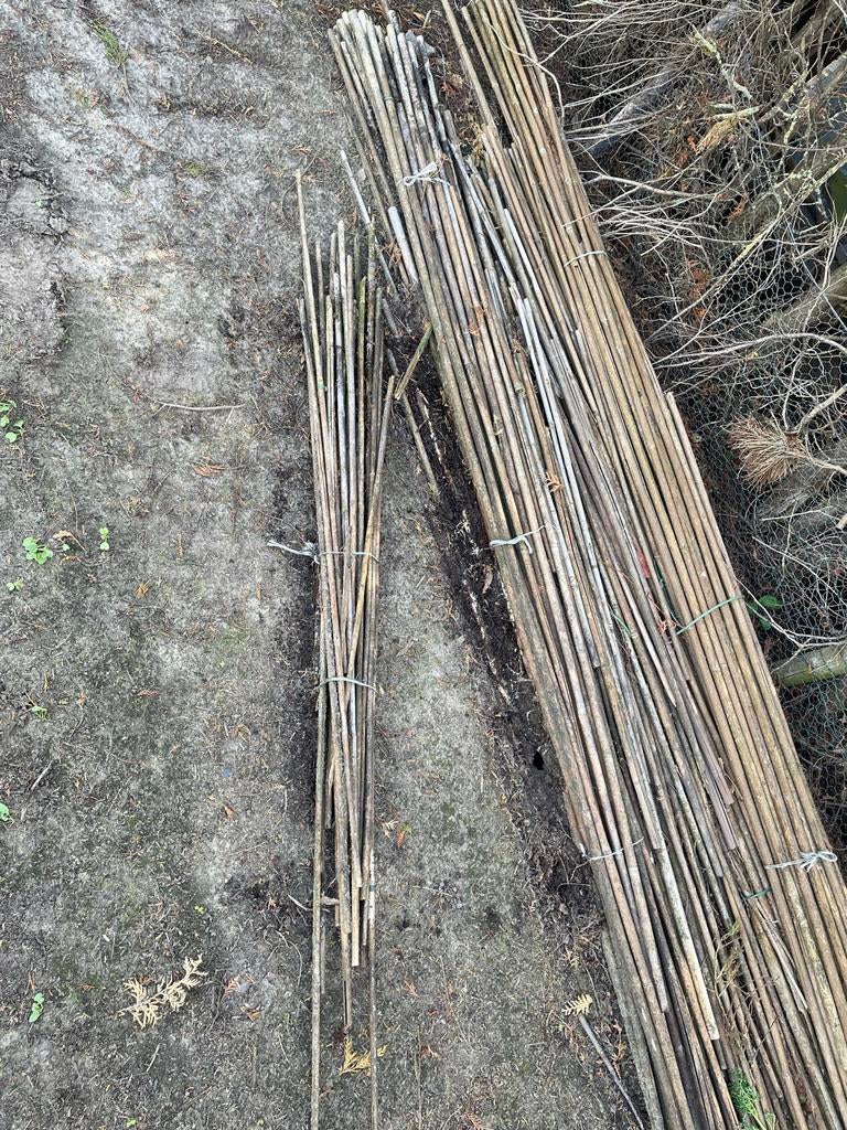 Bamboe stokken voor tuin of decoratie, Ophalen of Verzenden, Gebruikt, Palen
