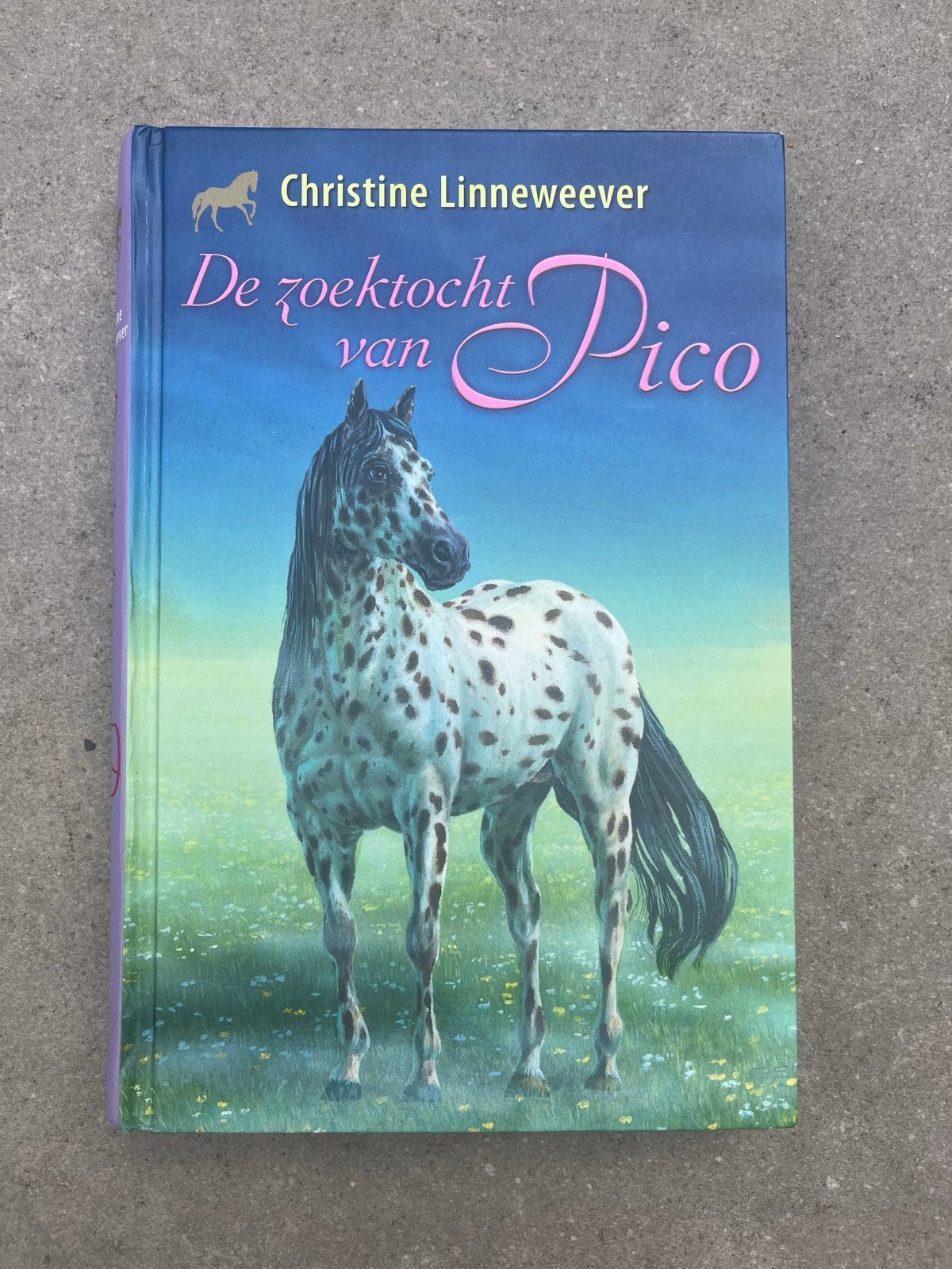De zoektocht van Pico - Christine Linneweaver, Ophalen of Verzenden, Zo goed als nieuw, Fictie algemeen