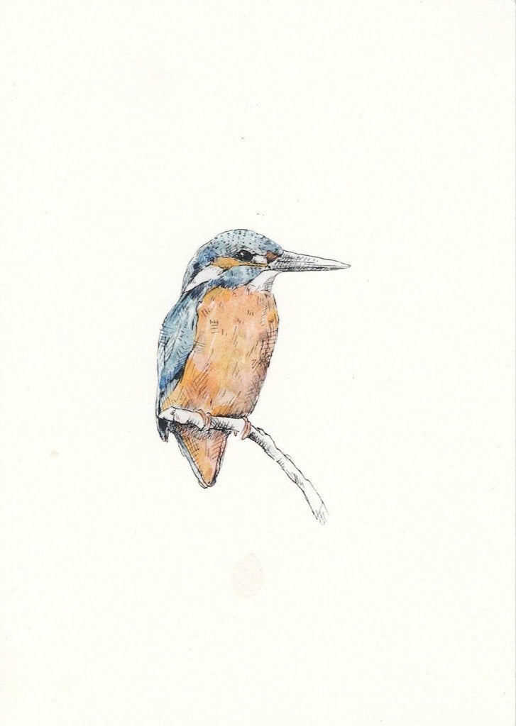 IJsvogel 86, Verzenden, 1980 tot heden, Gelopen, Vogel