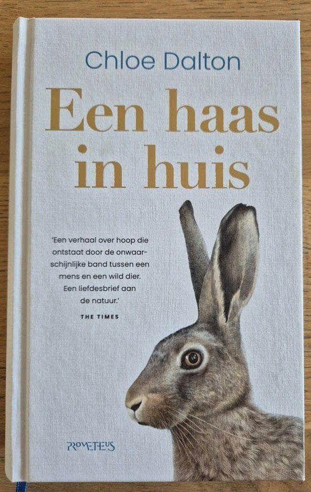 Een haas in huis - Chloe Dalton, Ophalen of Verzenden, Zo goed als nieuw, Chloe Dalton