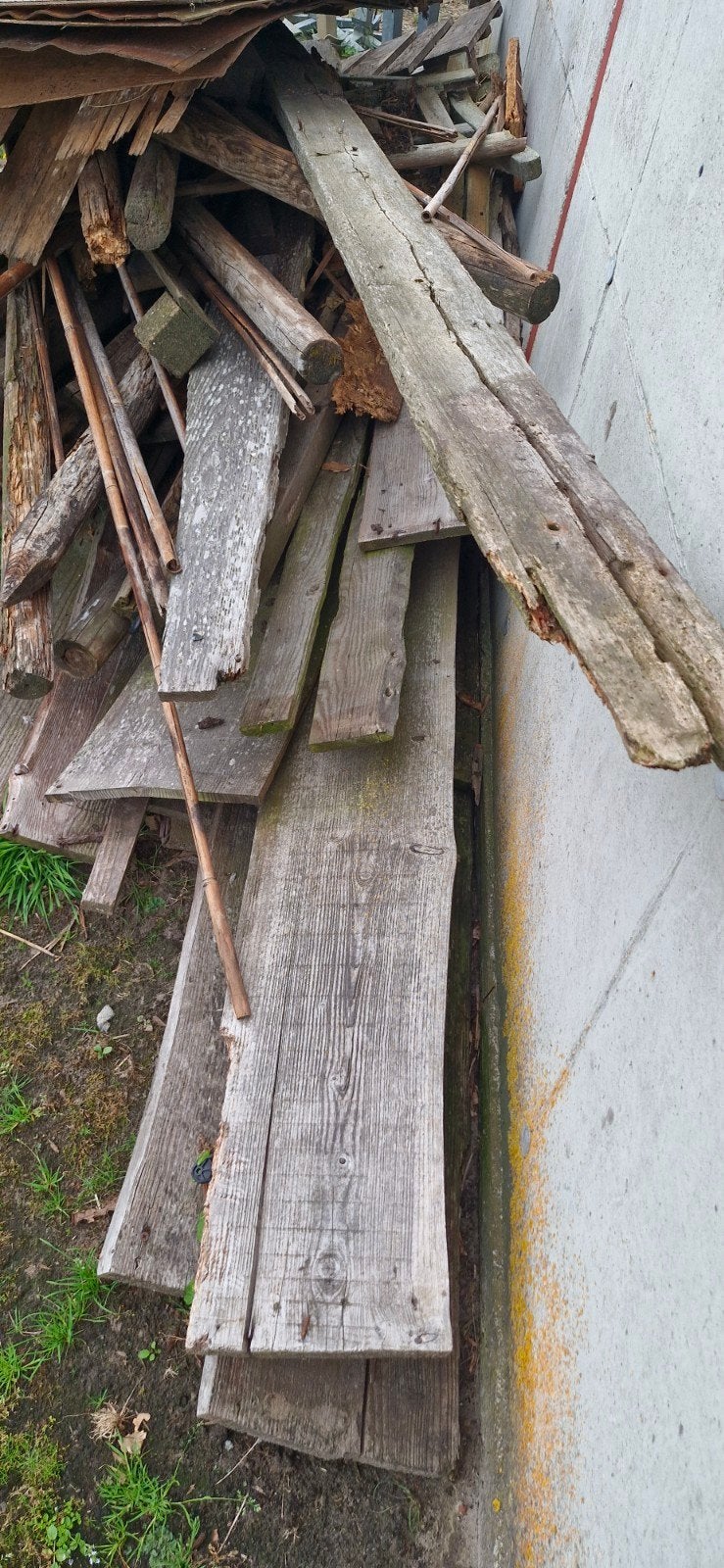 Gratis brandhout, graag spoedig ophalen, Ophalen