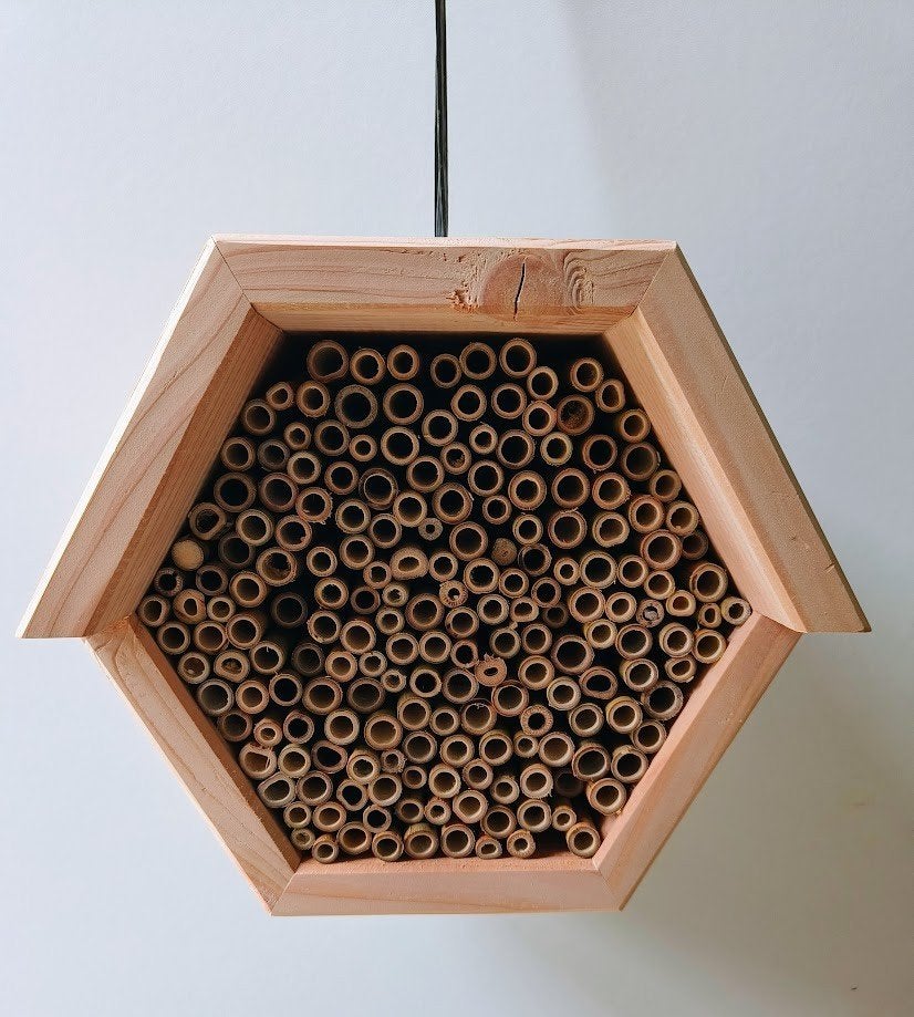 Bijenhotel / insectenhotel, Ophalen of Verzenden, Nieuw