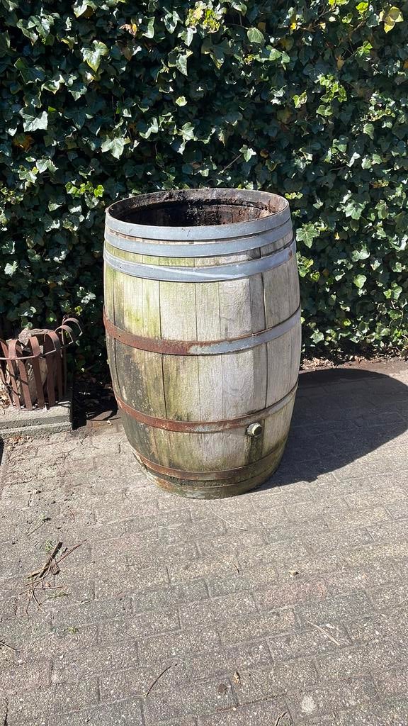 Regenton wijnvat zonder deksel, 150 liter of meer, Ophalen, Gebruikt, Hout