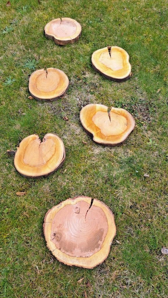 Decoratieve boomschijven houtschijf boomstam staptegels tuin, Ophalen of Verzenden, Gebruikt