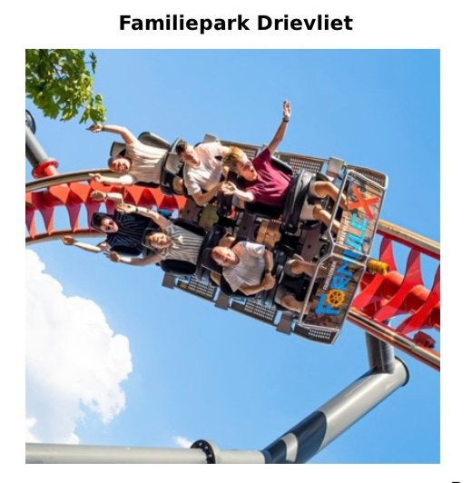 1 x toegangsbewijs Drievliet €20.-, Eén persoon, Ticket of Toegangskaart