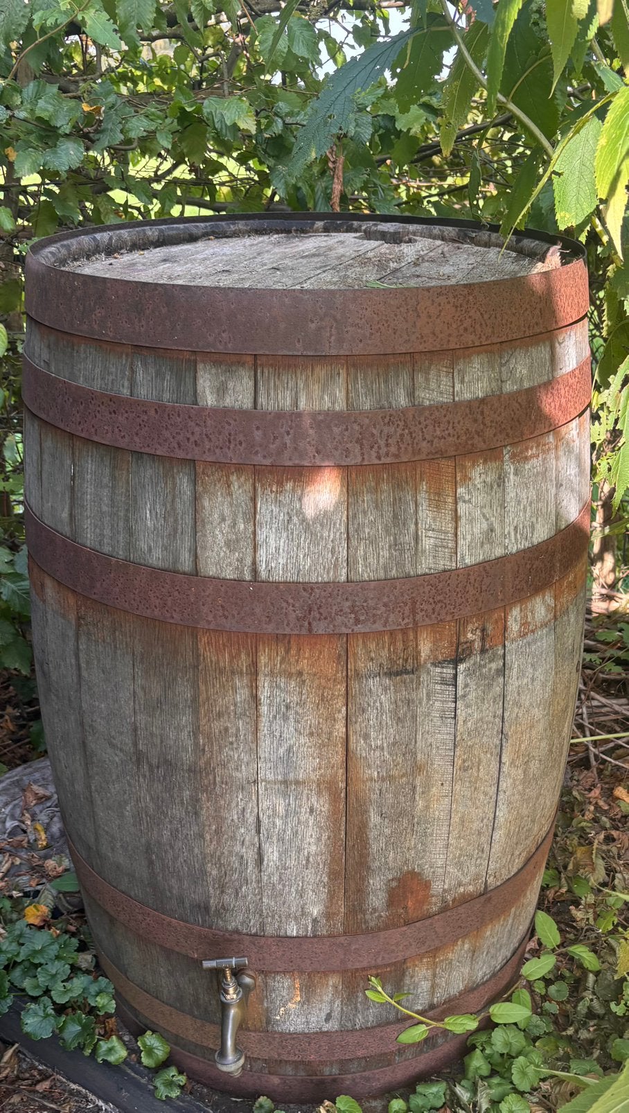 Een prachtige “Houten regenton”, Tuin en Terras, 150 liter of meer, Ophalen, Zo goed als nieuw, Hout