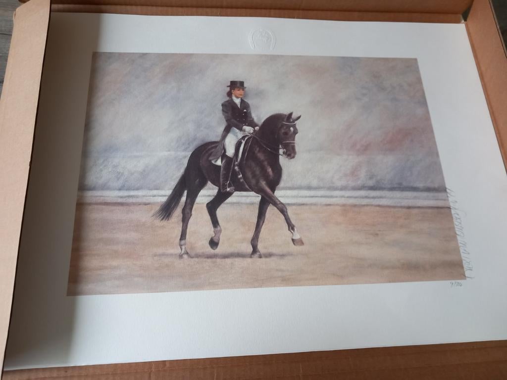 4 Gesigneerde litho's Evert van Binsbergen WEG 1994 Den Haag, Ophalen of Verzenden