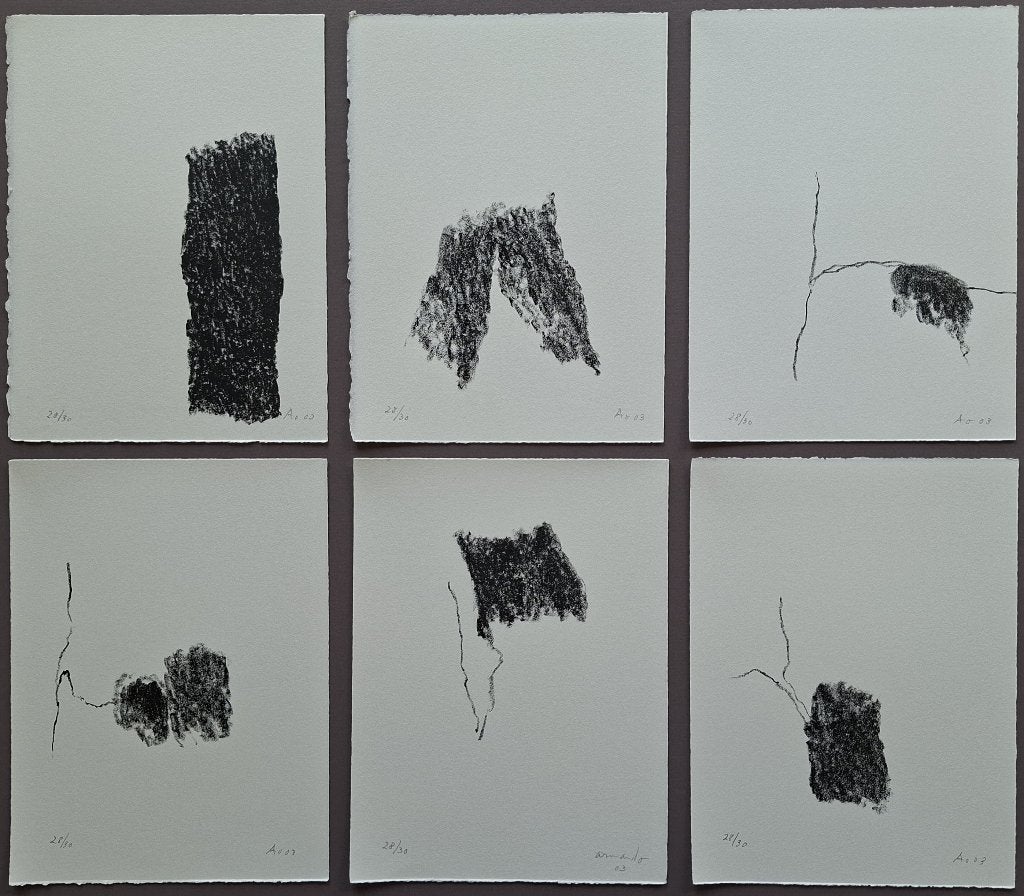 Armando – Der Baum, cassette met zes litho's, Antiek en Kunst, Ophalen of Verzenden