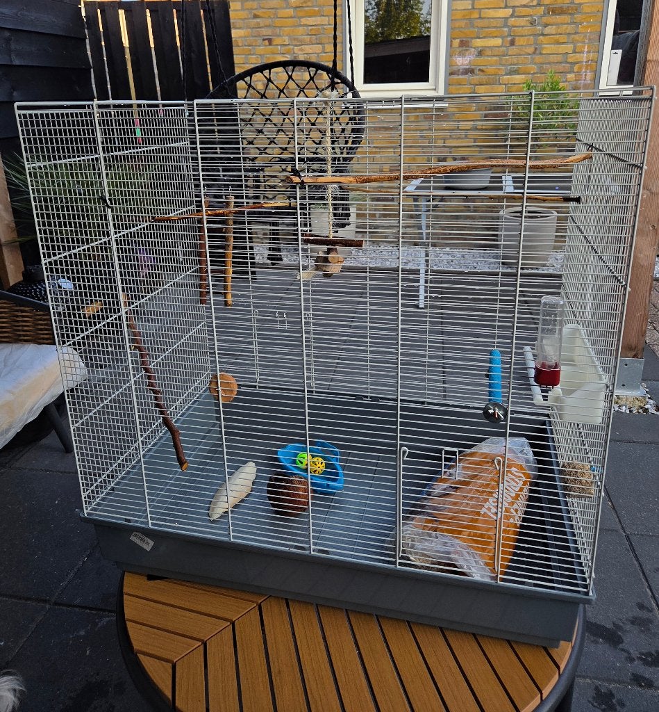 Vogelkooi als nieuw, Dieren en Toebehoren, Ophalen of Verzenden, Zo goed als nieuw, Metaal, Vogelkooi