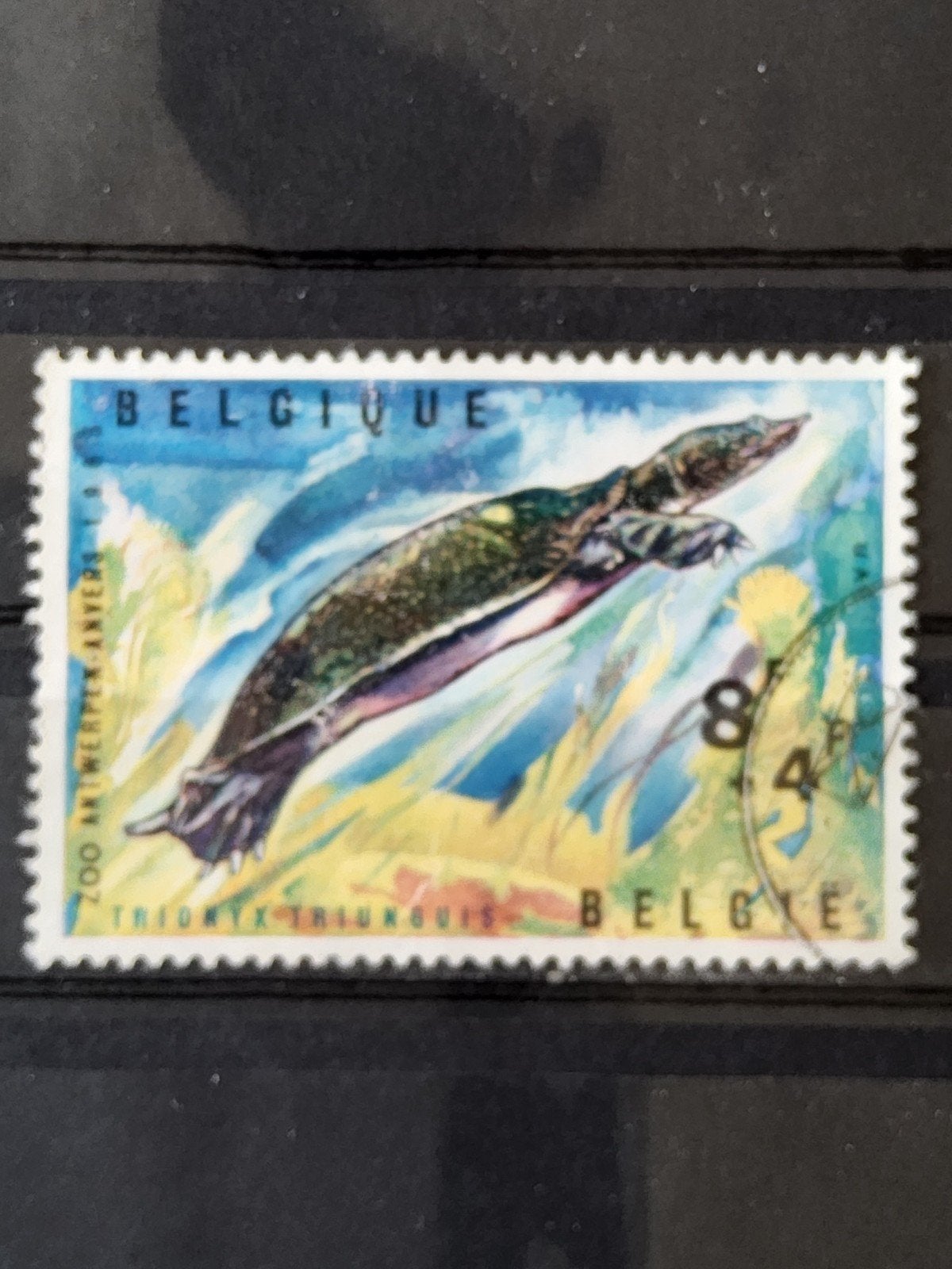 Belgische postzegel: Trionyx Triunguis (Nijlweekschildpad), Met stempel, Verzenden, Frankeerzegel, Gestempeld