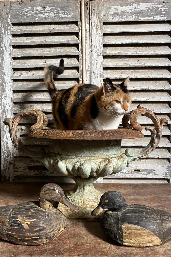 XL grote antiek franse gietijzer jardiniere, tuinvaas, Antiek en Kunst, Antiek | Woonaccessoires, Ophalen