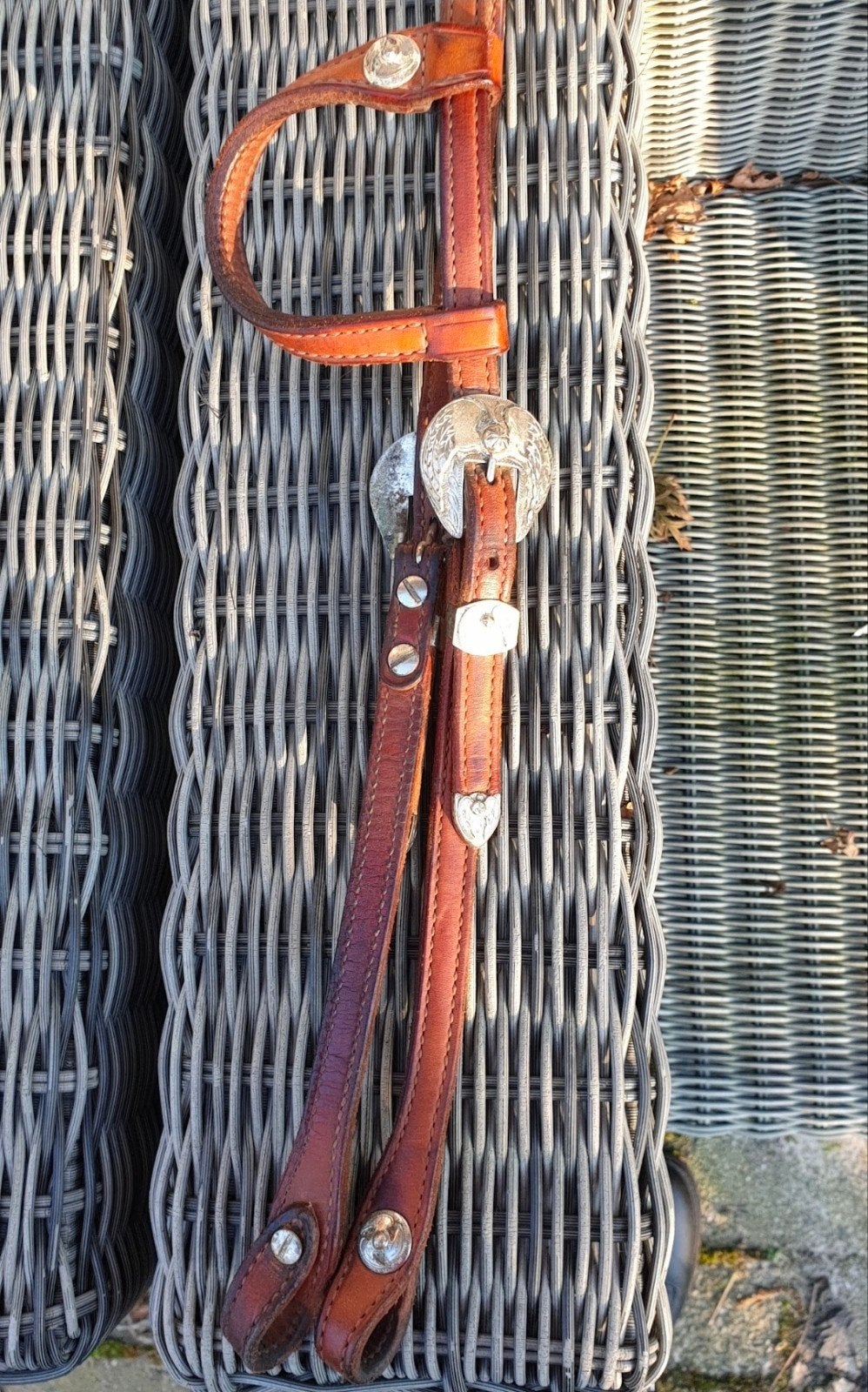 Western showhoofdstel, Dieren en Toebehoren, Ophalen of Verzenden, Cob, Western, Hoofdstel