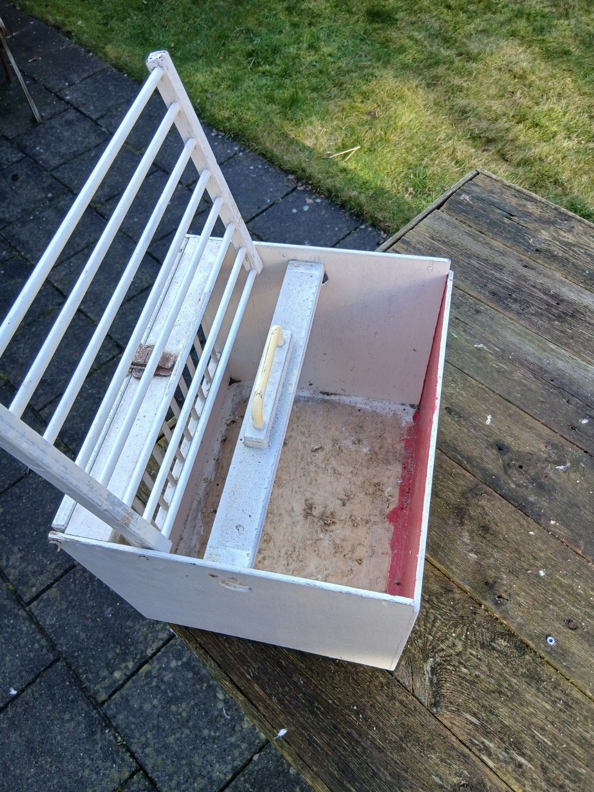 Bruidsmandtje voor duiven bieden, Dieren en Toebehoren, Meerdere dieren, Overige soorten